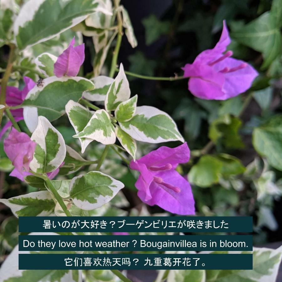 Kyoya Ryokan Ναγκόγια Εξωτερικό φωτογραφία